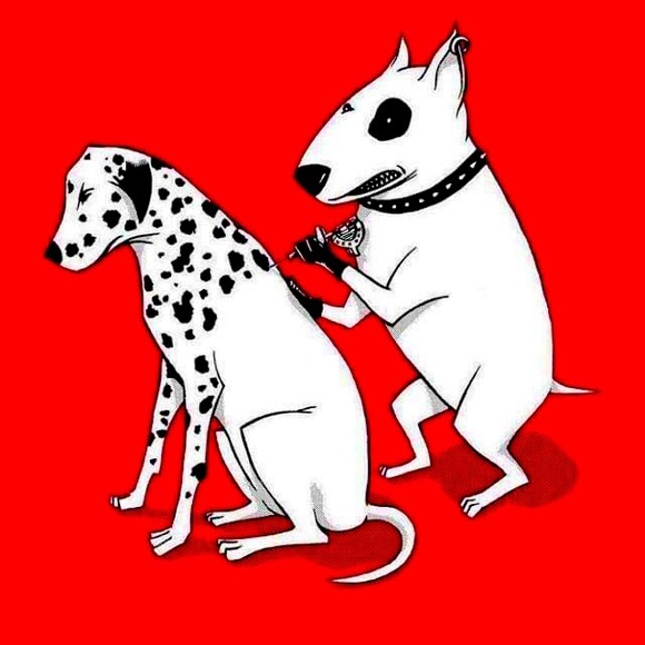 Meet your Posher, Aaron - Picture 2 of 2